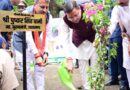 पीएम मोदी के एक पेड़ मां के नाम अभियान के अंतर्गत सीएम धामी ने अपनी माता जी के नाम से पौधा किया रोपित*