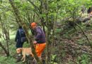 दयारा बुग्याल ट्रैक से लापता महिला ट्रैकर की तलाश के लिए सर्च अभियान जारी