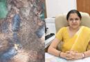 कैम्पटी रेंज में पौधे फेंकने का मामला गरमाया: डीएम टिहरी ने डीएफओ मसूरी को दिए 15 दिन में जांच के निर्देश