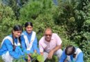 छात्राओं ने पेड़ों को राखी बांधकर लिया पर्यावरण संरक्षण का संकल्प