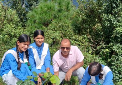 छात्राओं ने पेड़ों को राखी बांधकर लिया पर्यावरण संरक्षण का संकल्प