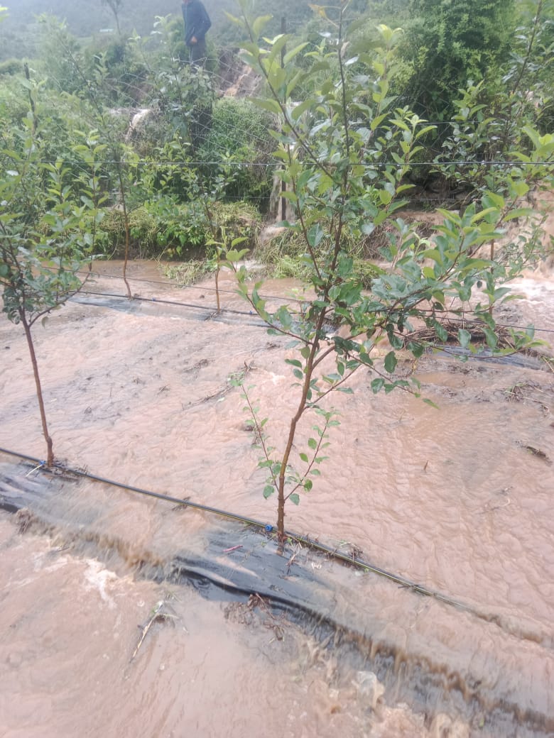 बादल फटने से सेब के बगीचे को भारी नुकसान