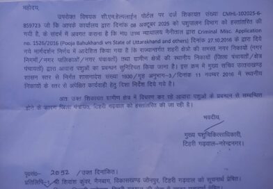 आवारा पशुओं पर 11 माह से सरकारी खेल! पशुपालन विभाग ने जिला पंचायत को लौटाई जिम्मेदारी, अब सवाल—कार्रवाई कब?
