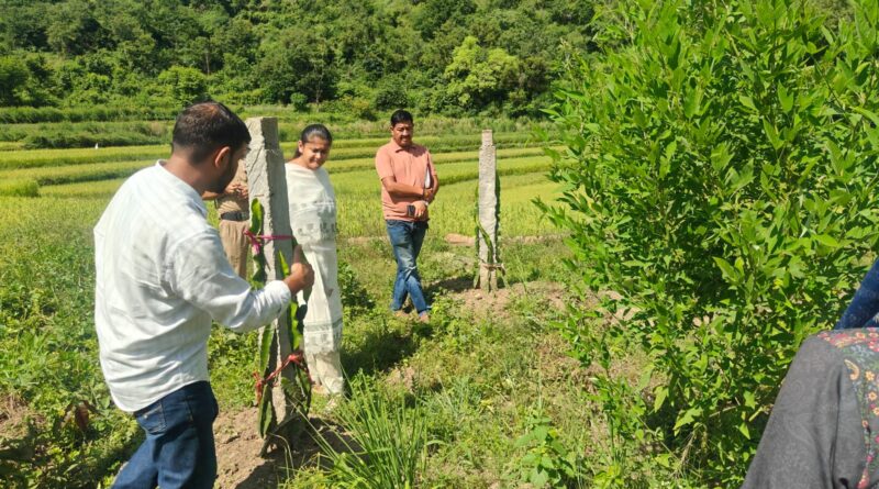 सीडीओ ने नरेंद्रनगर में सामुदायिक स्तर के उद्यमों का किया निरीक्षण, ड्रैगन फ्रूट एवं बकरी पालन को बढ़ावा देने के दिए निर्देश